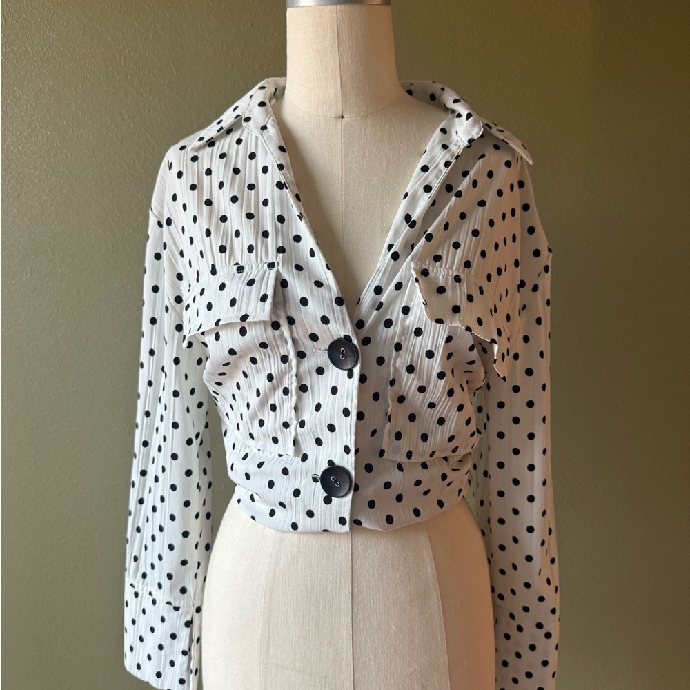 Zara Polka Dot Button-Up Blouse